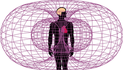 Электромагнитные поля человека
